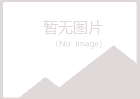 横　县夏岚建设有限公司